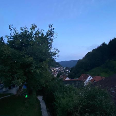 Apartment End Heidelberg Luaran gambar